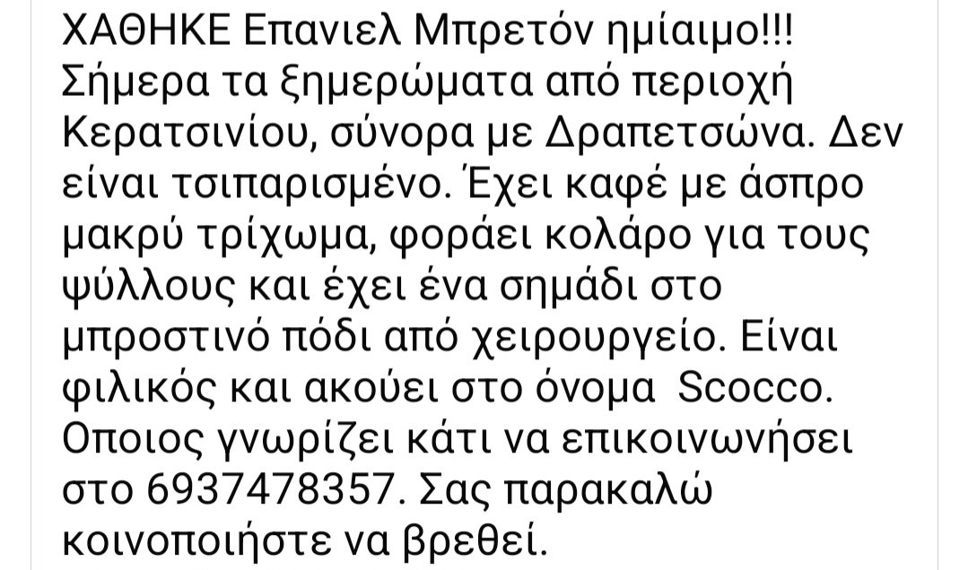 KatKatPt's tweet image. 🆘️🆘️🆘️
Χάθηκε στο Κερατσίνι σύνορα με Δραπετσώνα ο Scocco
Φοραει κολάρο για τους ψύλλους κ εχει ενα σημάδι στο μπροστινό πόδι απο χειρουργείο
Δν εχει τσιπ
Πολυ φιλικός
Για οποιαδήποτε πληροφορία καλέστε άμεσα στο τηλ 
Rt 🙏 🙏 🙏