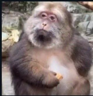 2geekerr's tweet image. Idc about all that coulda made more bullshit i just take what&apos;s mine and leave