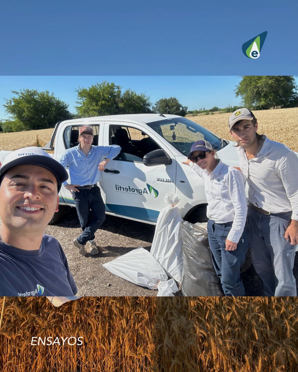 💪🏻Esta semana realizamos cosecha de un ENSAYO DE TRIGO en un campo de Río Negro.

👉🏻Tuvimos el HONOR de hacer este trabajo con nuestra directora Ing. Agr. Lucía Cash🚀💪🏻

Por más información👇
Recibimos muestras de todo el país.🇺🇾

Contactanos:
📲4567 7974 / 098 596 930