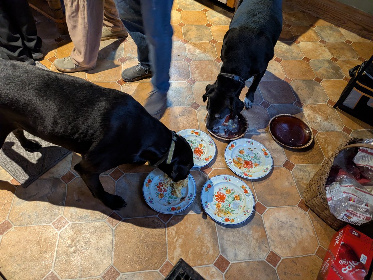 Thanksgiving dishes pre-wash.