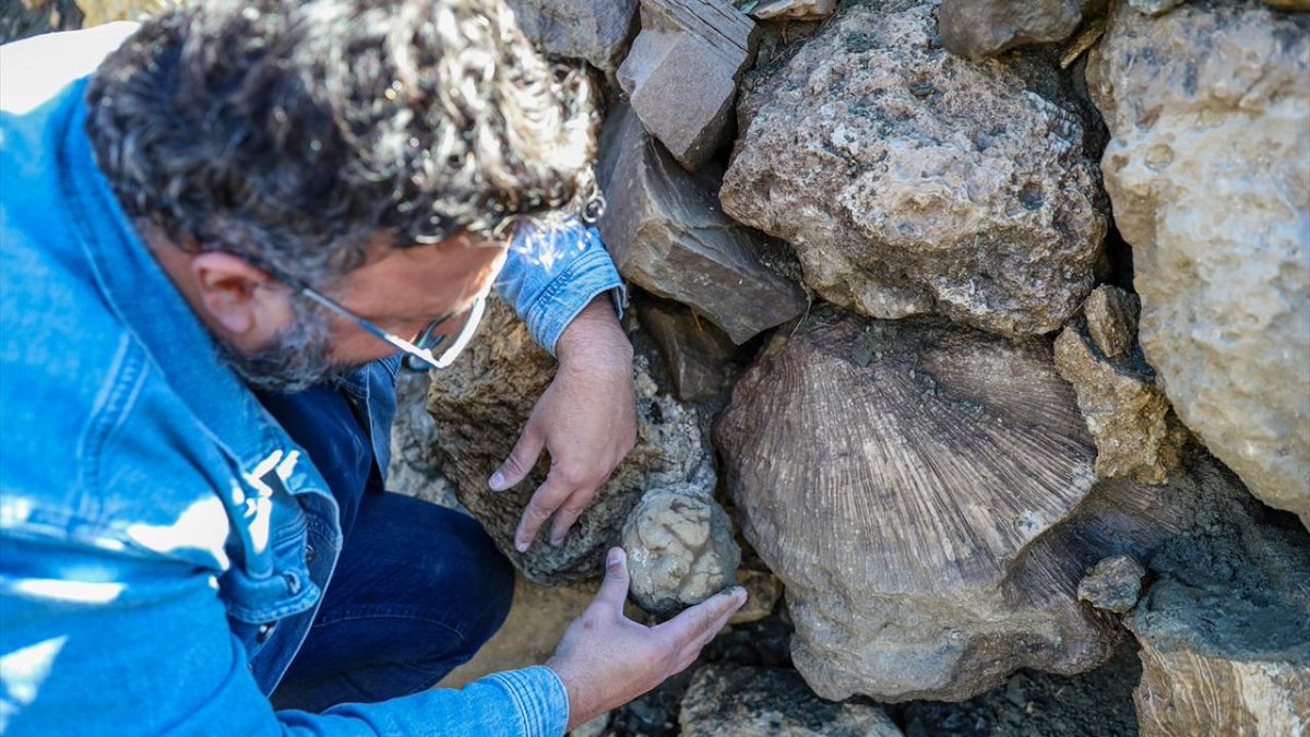 techdergi's tweet image. 📰 Bingöl Dağlarında 50 Milyon Yıllık Sır: Deniz Canlısı Fosilleri Bulundu!

​Bingöl Üniversitesi&apos;nden yapılan çığır açan bir keşifle, Şaban köyü kırsalındaki dağlık arazide, 50 milyon yıl öncesine ait olduğu tahmin edilen deniz canlısı fosilleri gün yüzüne çıktı. Bu bulgu,…