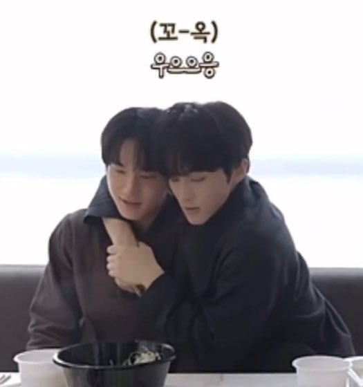 나 춘봉이 산책시킬때가아니엇음