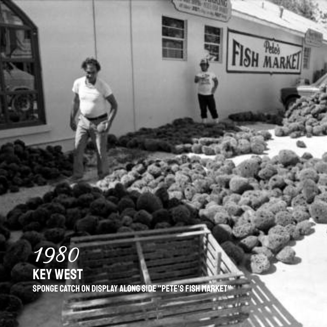 thefloridakeys's tweet image. The 1980s reshaped the Keys! 🇺🇸 Mariel Boatlift refugees arrive, Looe Key becomes a marine sanctuary, Seven Mile Bridge opens, the Conch Republic is born, the Atocha is salvaged, and more.

📸: State Archives of Florida, Florida Keys History Center - Monroe County Public Library