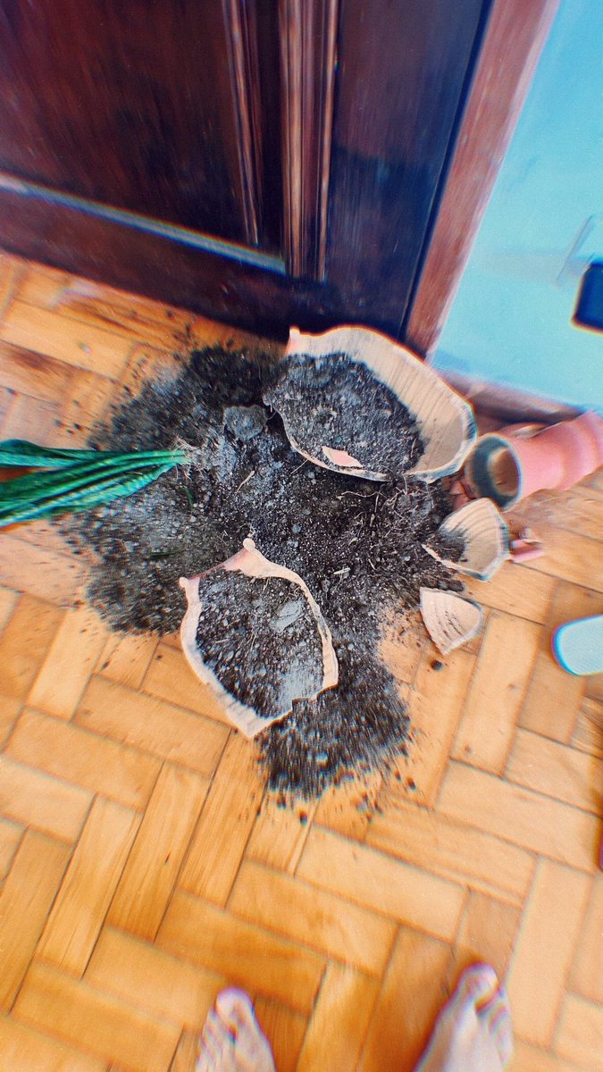 _oderie's tweet image. levando tudo ao pé da letra