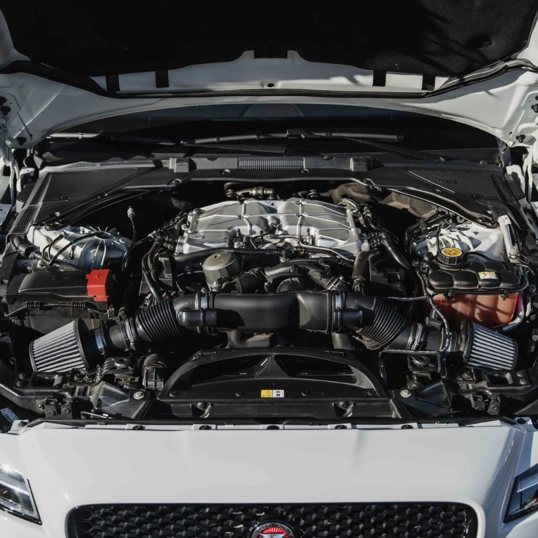 Bringatrailer's tweet image. The rare Panthera onca 

bringatrailer.com/listing/2018-j…