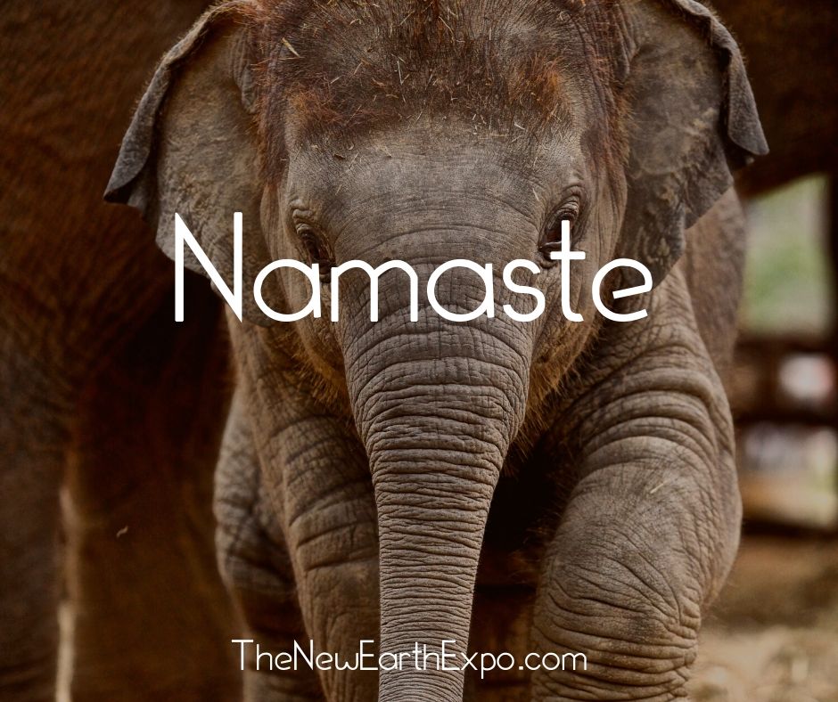 TNEE22's tweet photo. Namaste... 💙💙💙 https://t.co/tLj7XyzljW