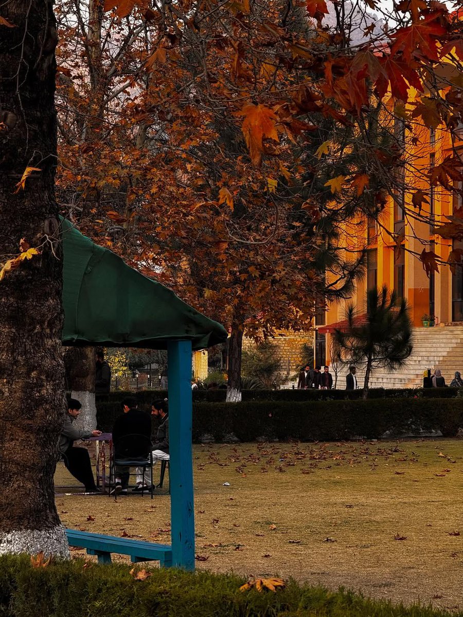 Colours of Autumn!
#Autumn 🍁