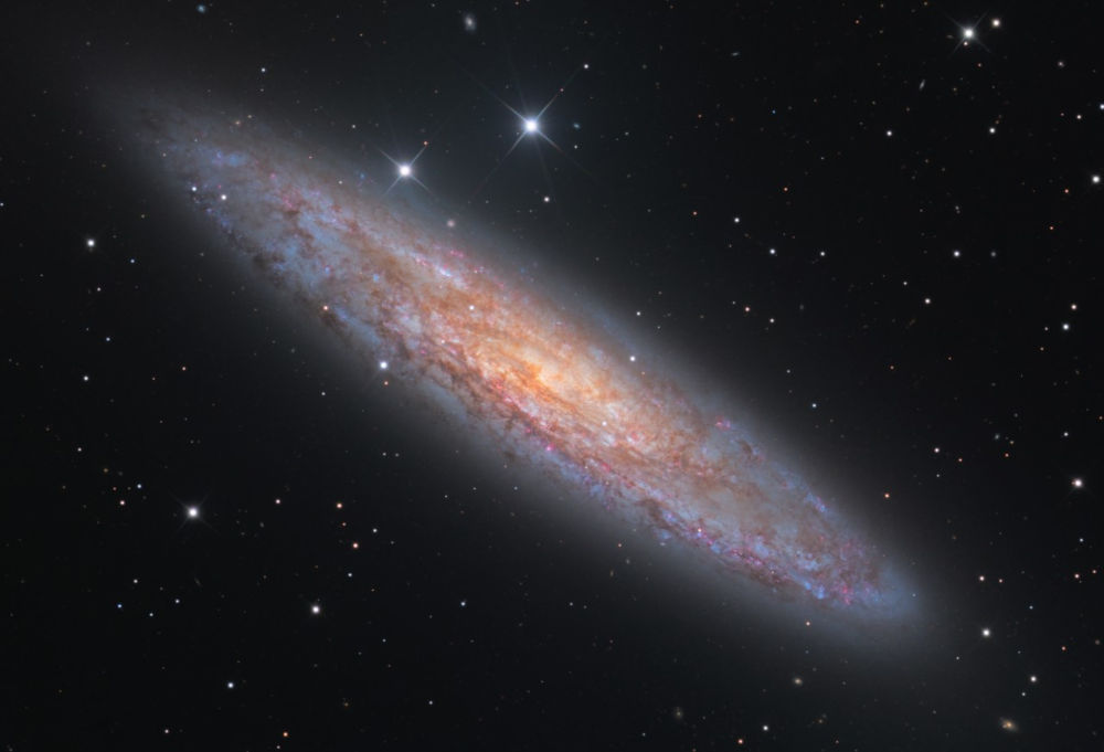 Insight Observatory tweet media