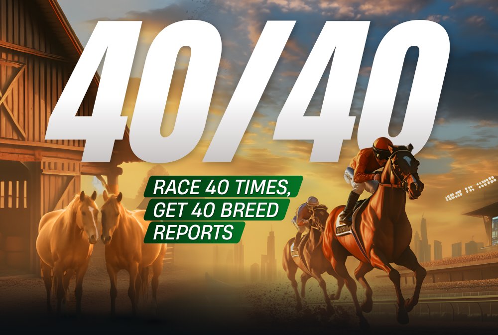 With breeding coming up, and 3 year old's able to retire. We're sure many are looking for more breed reports.

Make sure to check out the promo page to see what else you're eligible for!

photofinish.live/promo