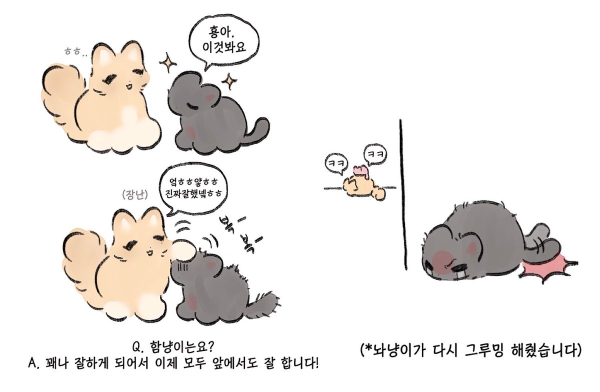 #PLAVE #플레이브 
그루밍 관한 QnA..근황