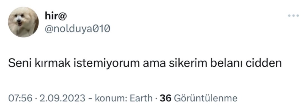 Alnı Öpülesi Tivitler (@alniopulesitivt) on Twitter photo 