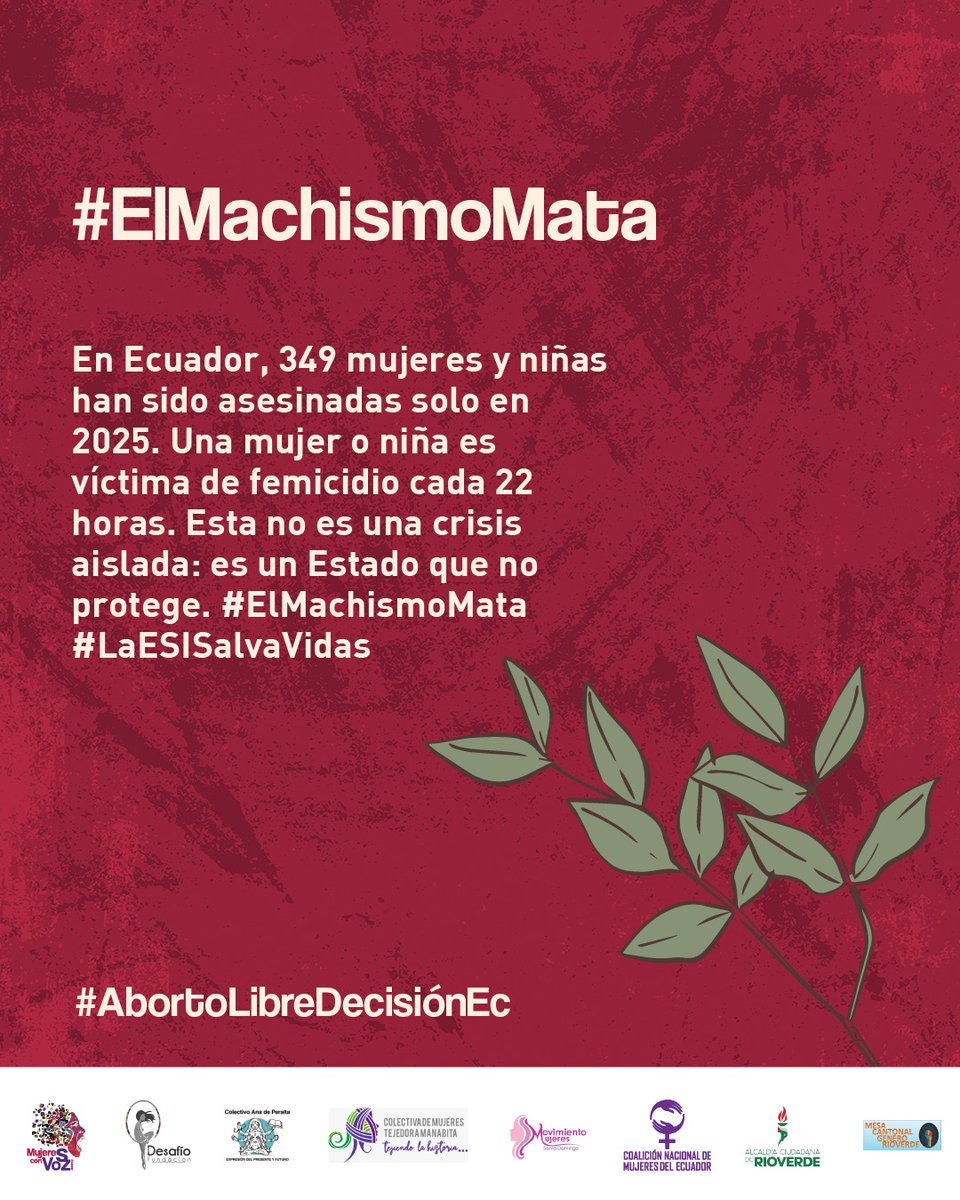 En Ecuador, 349 mujeres y niñas han sido asesinadas solo en 2025. Una mujer o niña es víctima de femicidio cada 22 horas. Esta no es una crisis aislada: es un Estado que no protege. #ElMachismoMata #LaESISalvaVidas #16DíasDeActivismo
