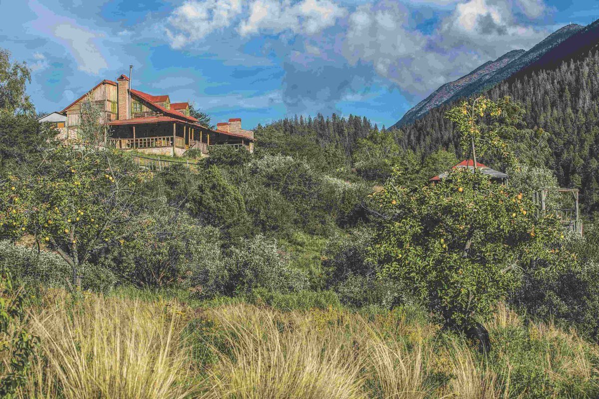 ¡Celebramos el aniversario de Arteaga y Viesca como Pueblos Mágicos de #Coahuila! 🌄

🏞️ Arteaga, conocido como “La Suiza de México”, te invita a perderte entre su modernidad y naturaleza. Descubre sus senderos rodeados de imponentes montañas, respira su clima fresco todo el año