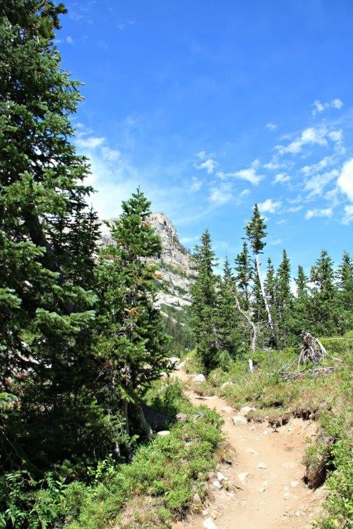 CompassandFork's tweet image. What you Need to Know About Travel Insurance bit.ly/2vabxSc #travel #traveltips