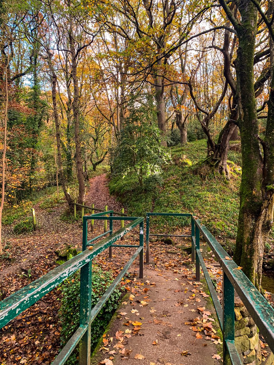 Happy #fingerpostfriday .
📍Rivelin Valley Trail.
#TheOutdoorCity #RivelinValleyTrail