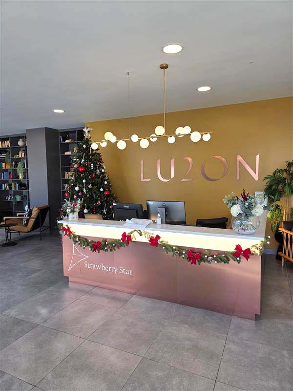 Lu2On's tweet photo. High-energy, sparkly decorations and warm lights adorn #Lu2on. The scent of cinnamon floats in the air as we all get into the festive mood. The countdown to the season of celebration begins.✨🎄🎁

#lutontown #FestiveVibes #festiveconcierge #ChristmasModeOn https://t.co/3uMpx54e9m