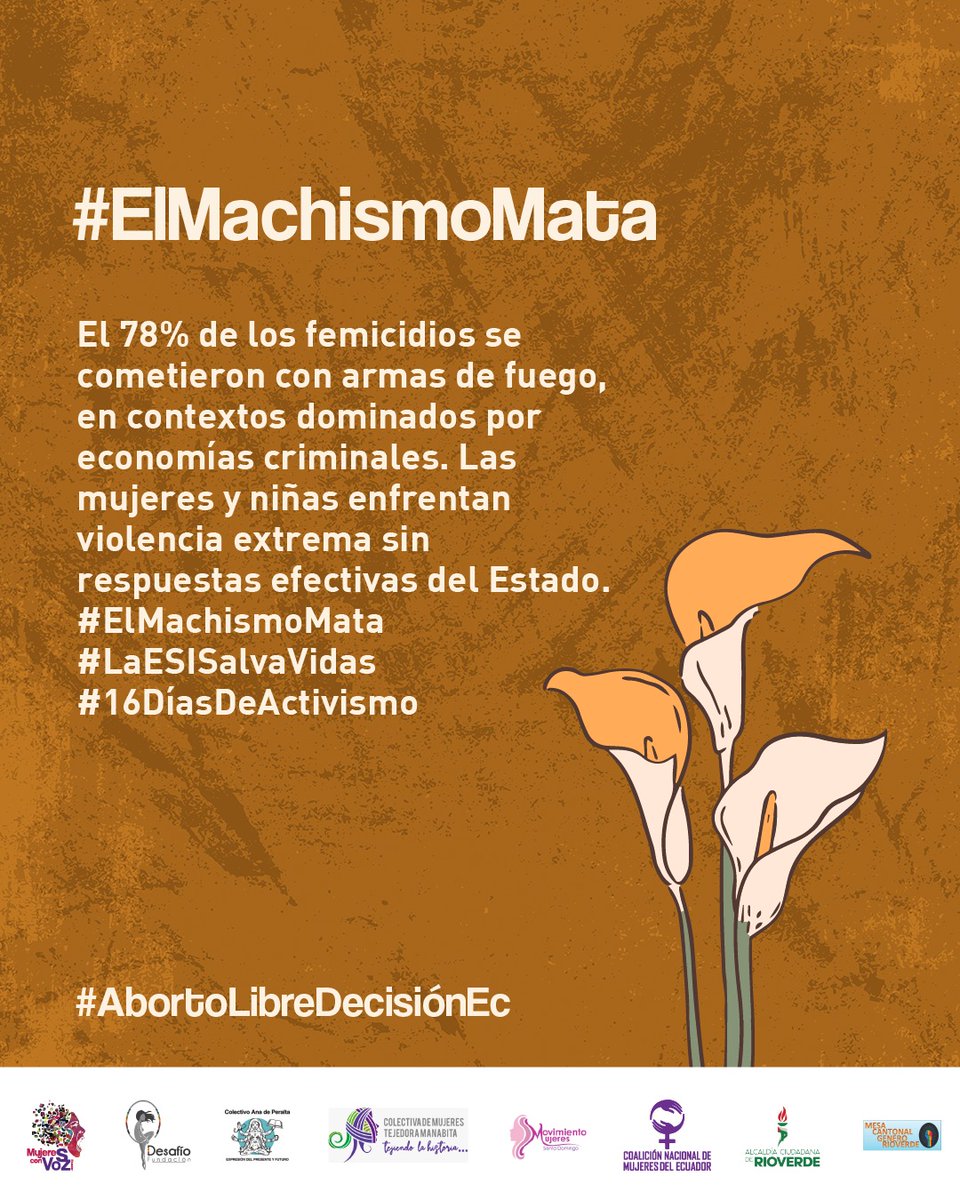 El 78% de los femicidios se cometieron con armas de fuego, en contextos dominados por economías criminales. Las mujeres y niñas enfrentan violencia extrema sin respuestas efectivas del Estado. #ElMachismoMata #LaESISalvaVidas #16DíasDeActivismo