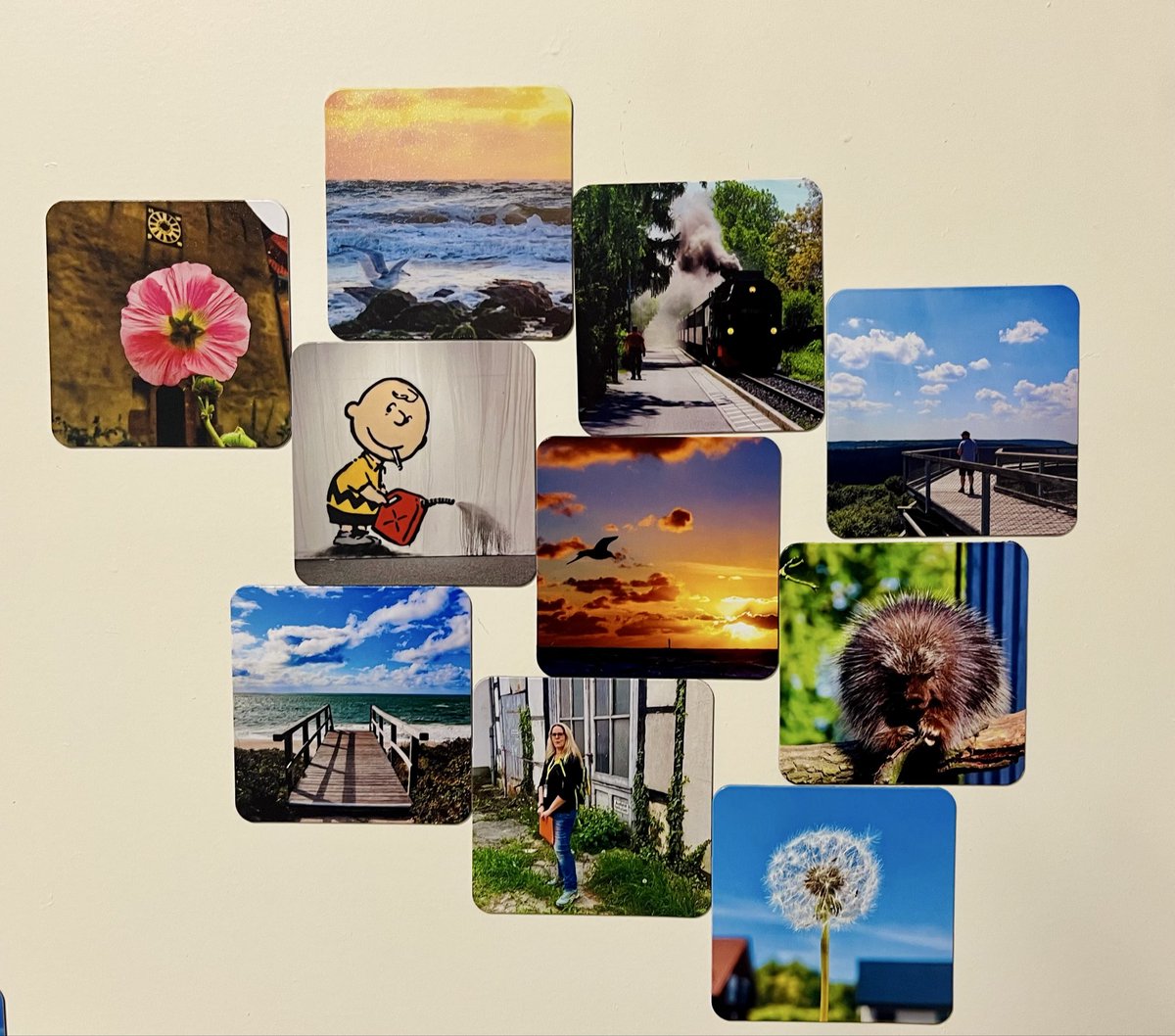 Ein Jahr in 10 Magneten 💖