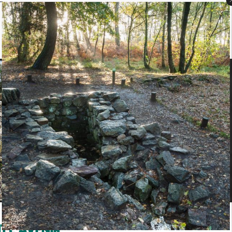 JeremyHaim's tweet photo. En Bretagne se dresse la plus majestueuse des forêts : Brocéliande. Ça vous dit quelque chose ? Normalement oui ! 

Au cœur de la légende arthurienne, c'est ici que le puissant Merlin, l’incroyable sorcier, dort, piégé par la fée Viviane. https://t.co/KTiDAS8WLo