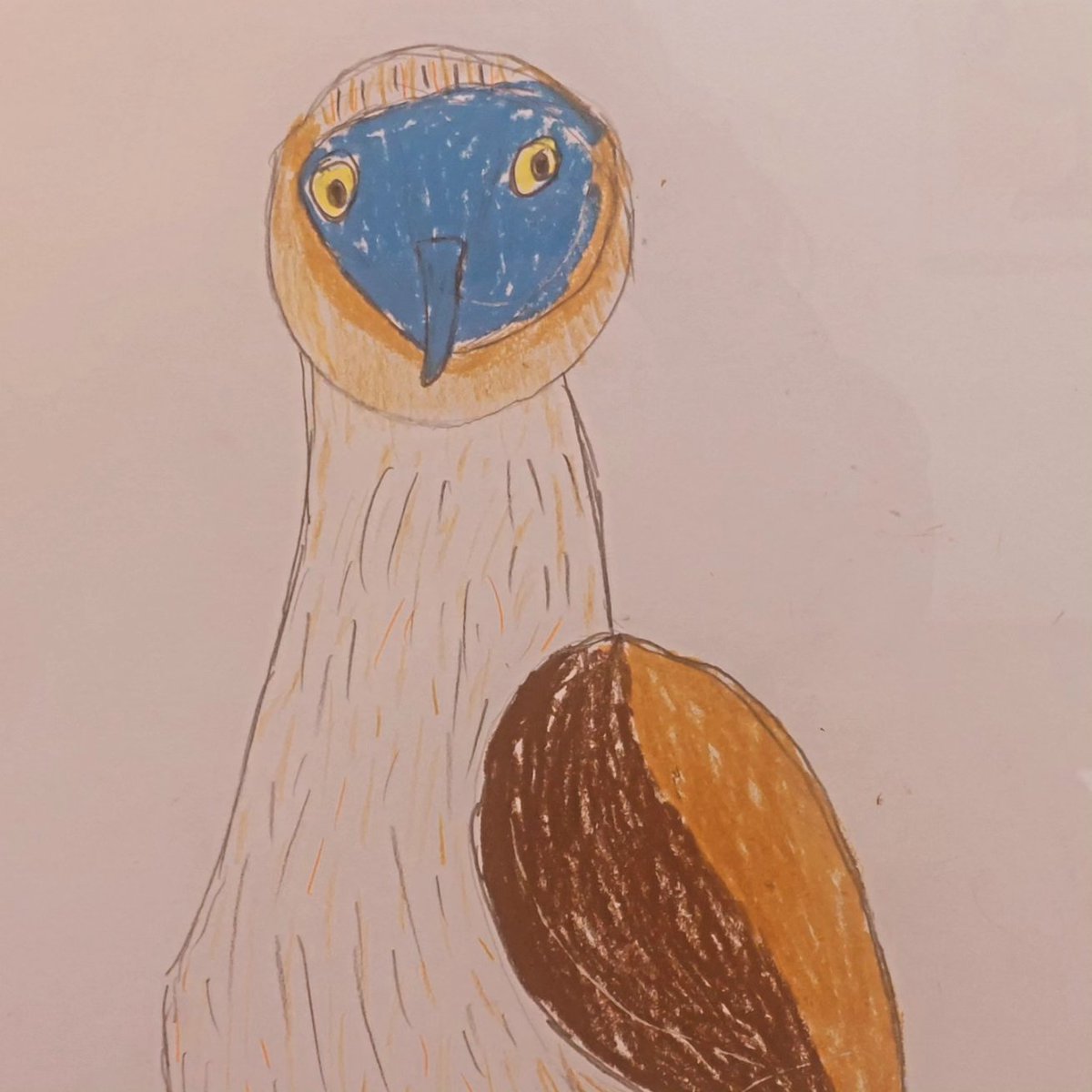 AarchivesDc's tweet image. Head over to #trongate103 and #projectability for a Christmas gift and see #featheredfriends Christmas show 2025 #glasgowartists #all4inclusion