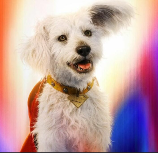 Blortzen tweet media