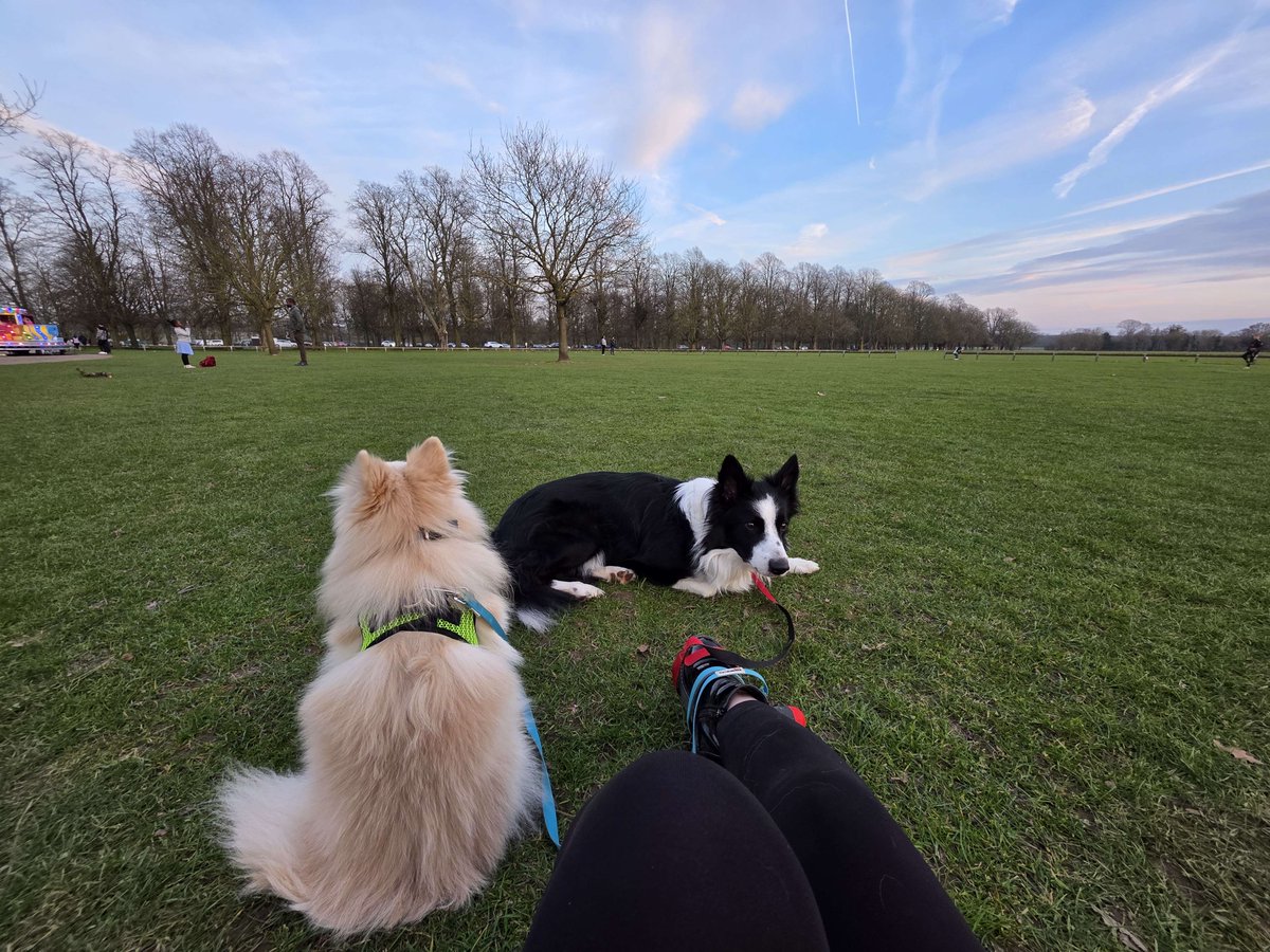 Steelmage tweet media