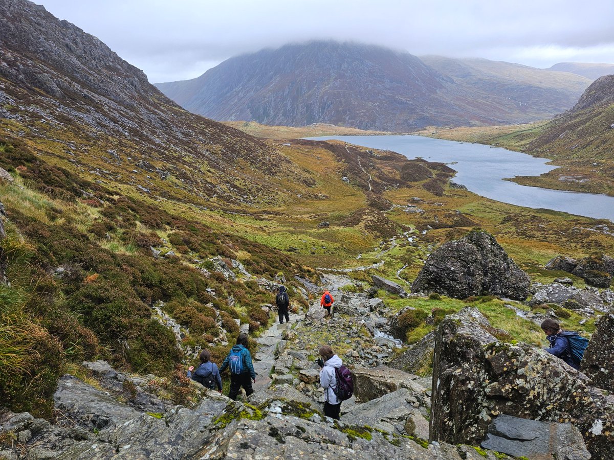 Greater London North Scouts tweet media