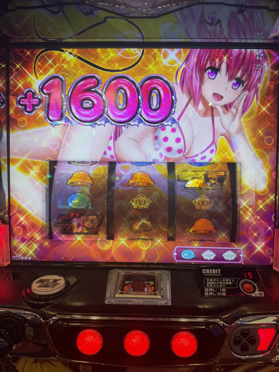 adptmP358's tweet photo. チートデイ https://t.co/iZMIoMtaep