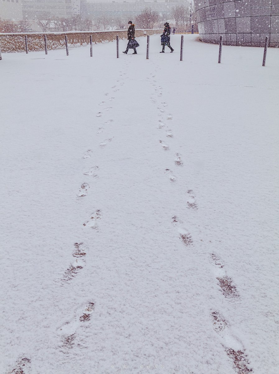 Dongdaemun Snow
동대문에 눈 내린 날에,