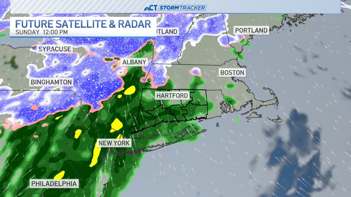 Alexis Clemons tweet media