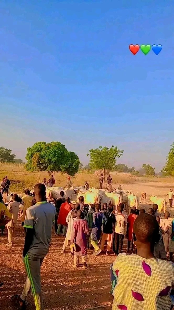 DanKatsina50's tweet image. GOOD NEWS: Yesterday night, armed bandits invaded Kabunga community in Kware LGA of Sokoto State, injuring one resident and rustling a large number of cattle. Vigilantes immediately mobilized, tracking the attackers toward Maikujera, Angamba and Gidan Buwai villages. A brief…