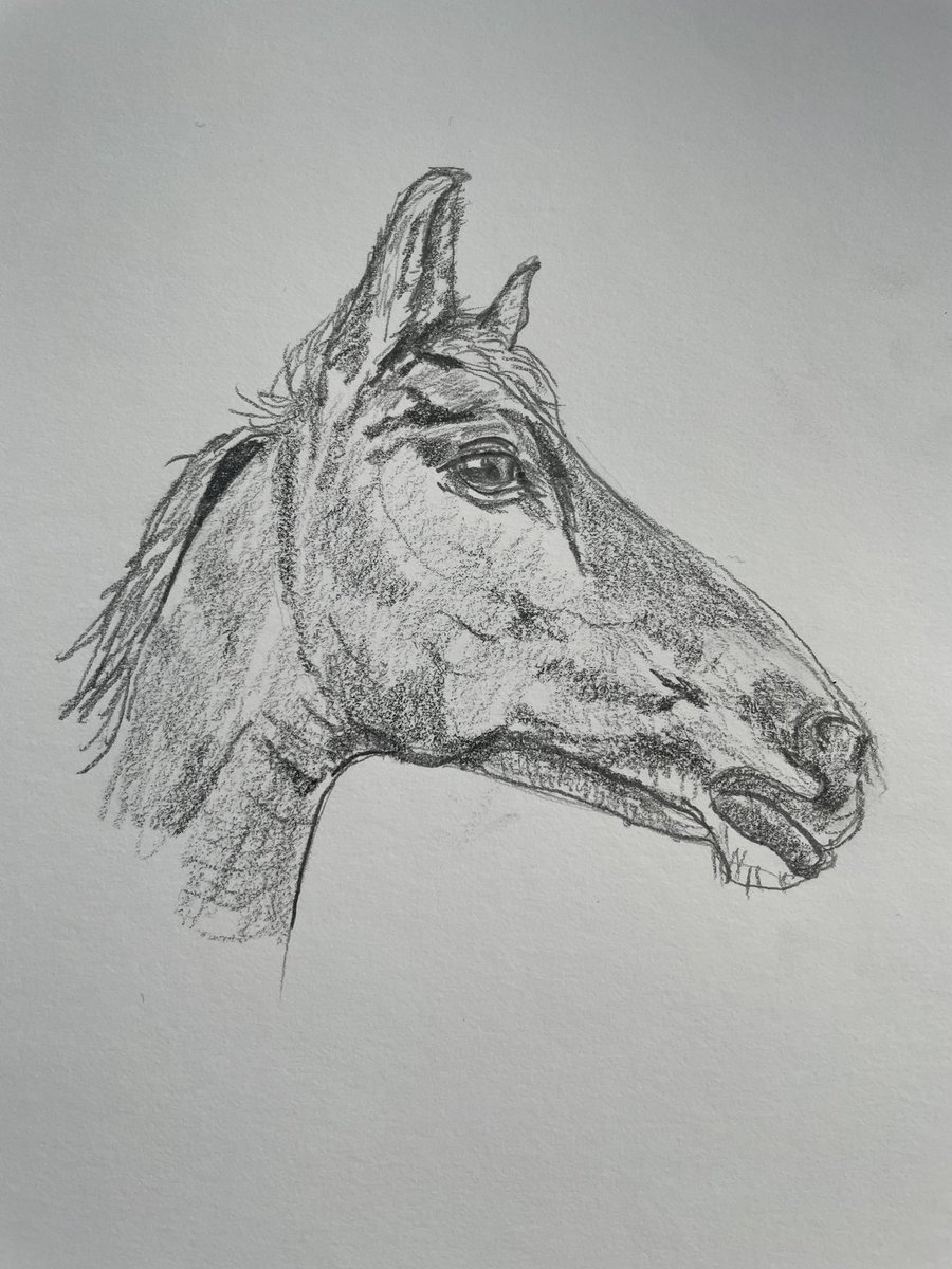 SuesArt's tweet image. Couldn’t sleep so got up and sketched 
#sketchbook