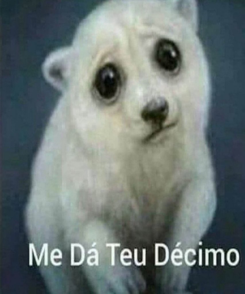 guiarchive's tweet image. imagina ter um décimo terceiro