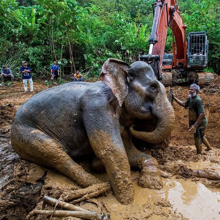 dustclavier's tweet image. untuk aceh dan sumatera.