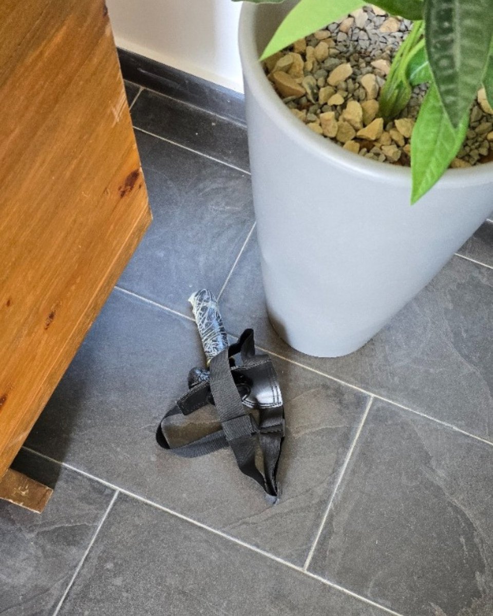 وقت تفيق الصبح وناسي شو صار بطيزك 😂