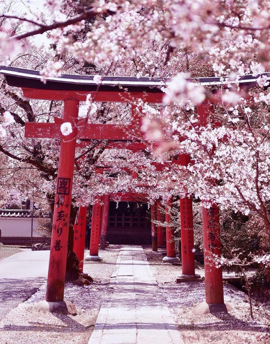 bhoir_nipur's tweet image. こんにちは〜 なんか元気出てきた！。買い物行こ〜🛍️。お風呂最高〜🛁 💻