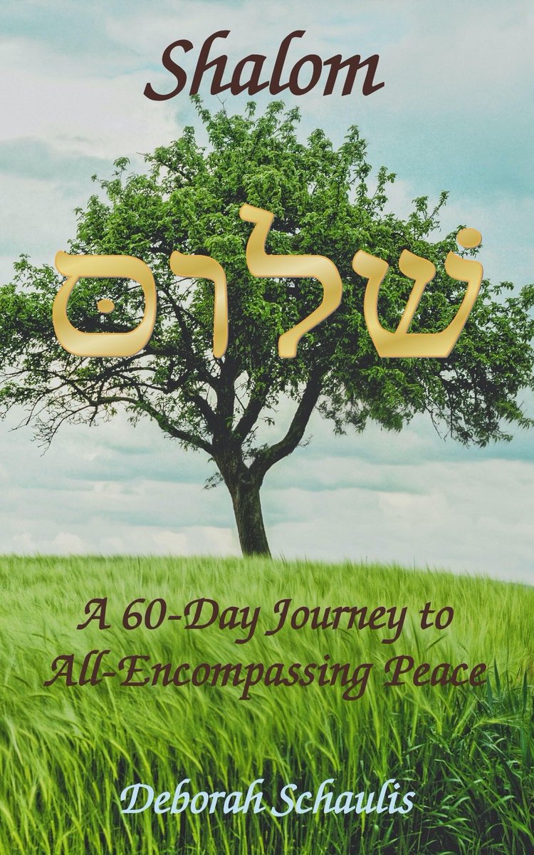 Now 20% off! Experience God's presence &amp; peace this holiday season. Until Dec 3, you can order paperback copies of my devotional, Shalom: A 60-Day Journey to All-Encompassing Peace, for $12 at shop.ingramspark.com/b/084?params=N….
#GiftIdea #ReadersCommunity #BargainHunt #Christmas #Discounts