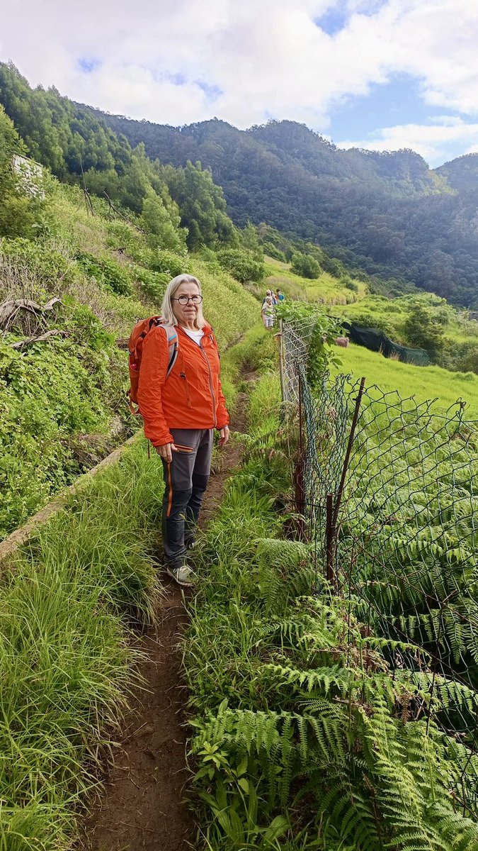 FeelingMadeira's tweet photo. https://t.co/zfB0WzmduU