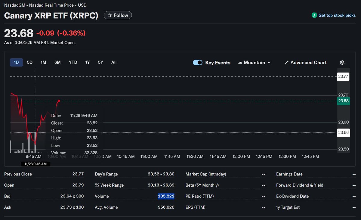 XRPALDIA tweet media