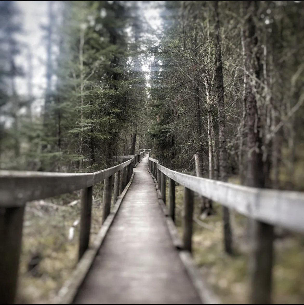 Sask Trails tweet media