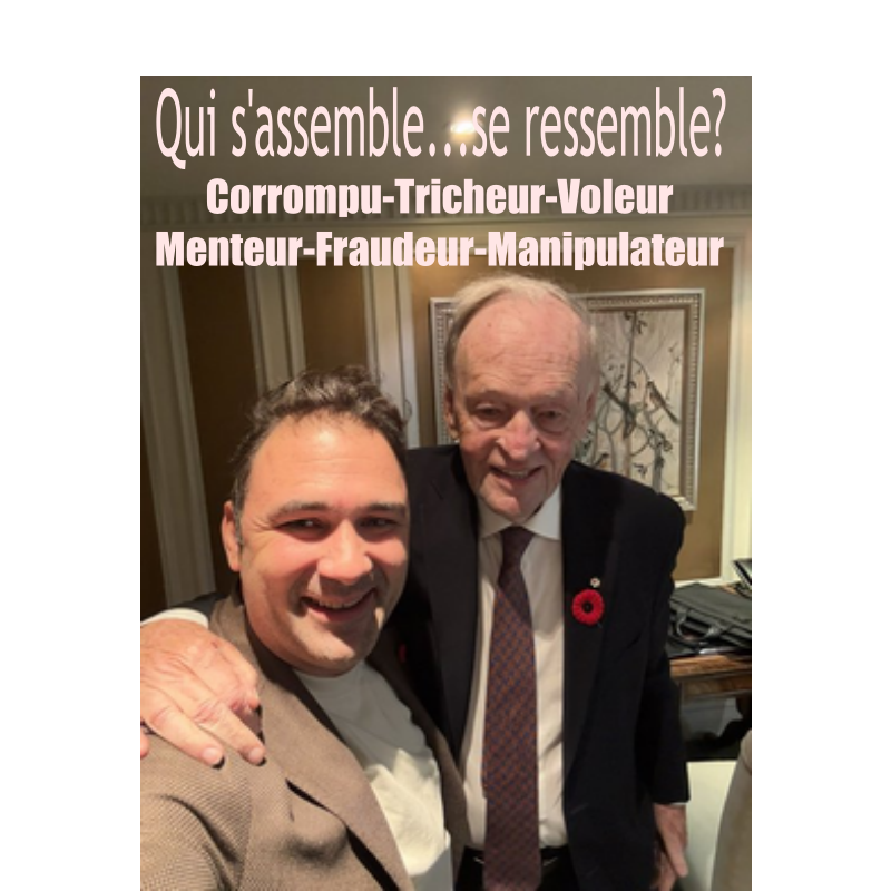 Lrudit1's tweet image. Les fédéraux ont une criss de peur de PSPP et du PQ

Le ton monte depuis qq semaines
La tension monte dans les médias entre les analystes

La campagne électorale est commencée
Sera t elle un référendum sur le référendum?

La campagne référendaire aussi

Ca va brasser en ta