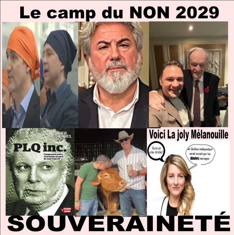 Lrudit1's tweet image. Les fédéraux ont une criss de peur de PSPP et du PQ

Le ton monte depuis qq semaines
La tension monte dans les médias entre les analystes

La campagne électorale est commencée
Sera t elle un référendum sur le référendum?

La campagne référendaire aussi

Ca va brasser en ta