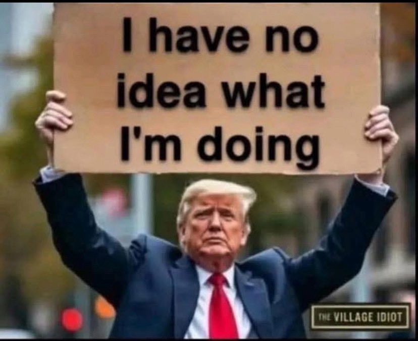 Liberal Cofe Cat tweet media