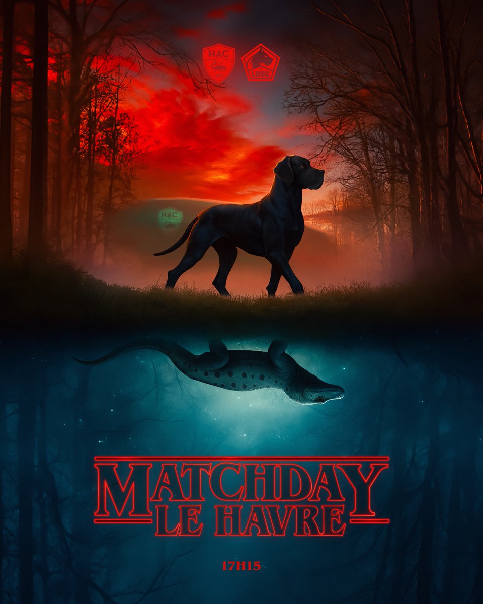 losclive's tweet image. 𝑴𝑨𝑻𝑪𝑯𝑫𝑨𝒀 🚨

Direction Le Havre pour terminer une semaine intense ⚓️
Après l&apos;@EuropaLeague, on passe de l&apos;autre côté, en mode @Ligue1 🏆

#HACLOSC