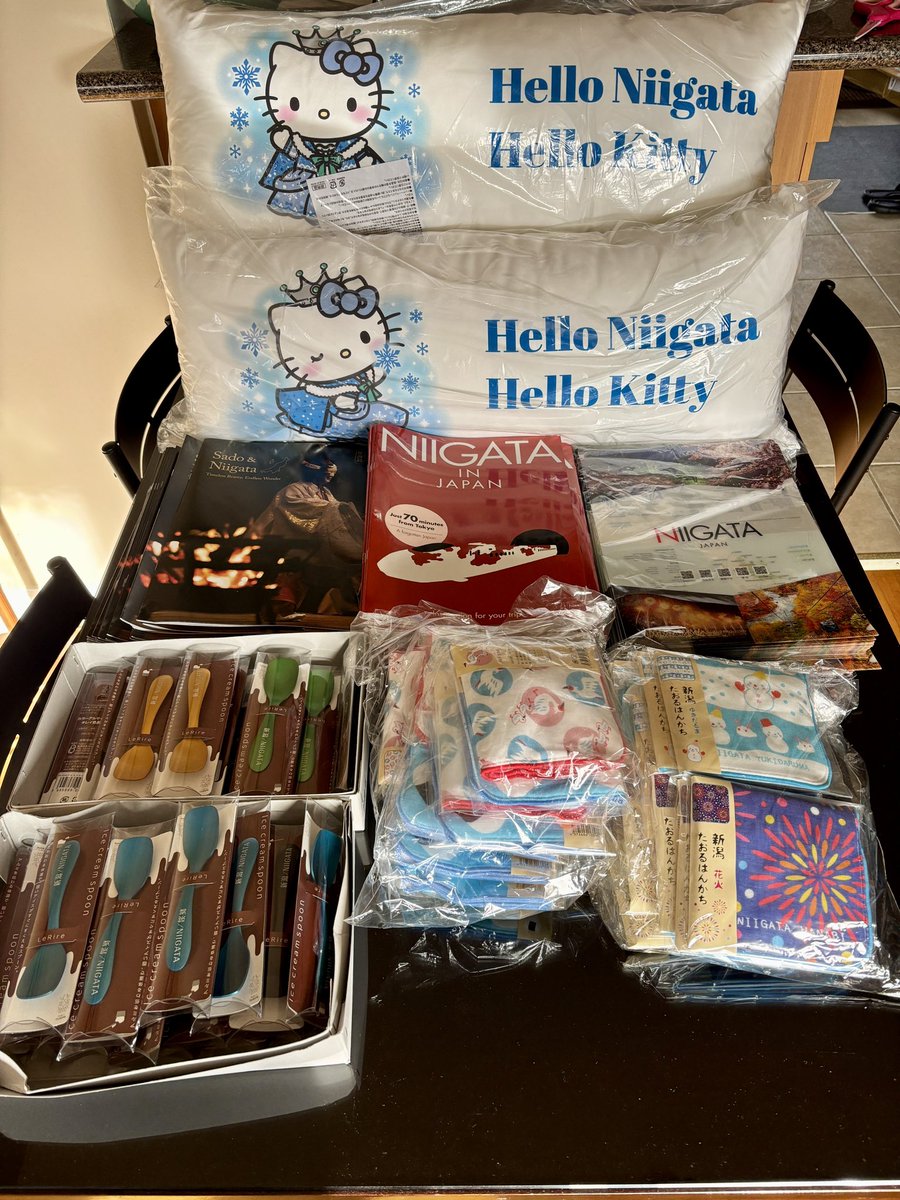 新潟県庁本気の気合い🔥観光推進課から、国際郵便で送れる“最大サイズ”の小包がドーンと到着。箱を開けたら、こんなの入ってました！年明けの「お正月会」と「天皇誕生日祝賀レセプション」で、新潟県をしっかりPRしてきます✨でもこれ、もしかして私はキティちゃんの枕を抱えて天皇誕生日に行くの？🤣