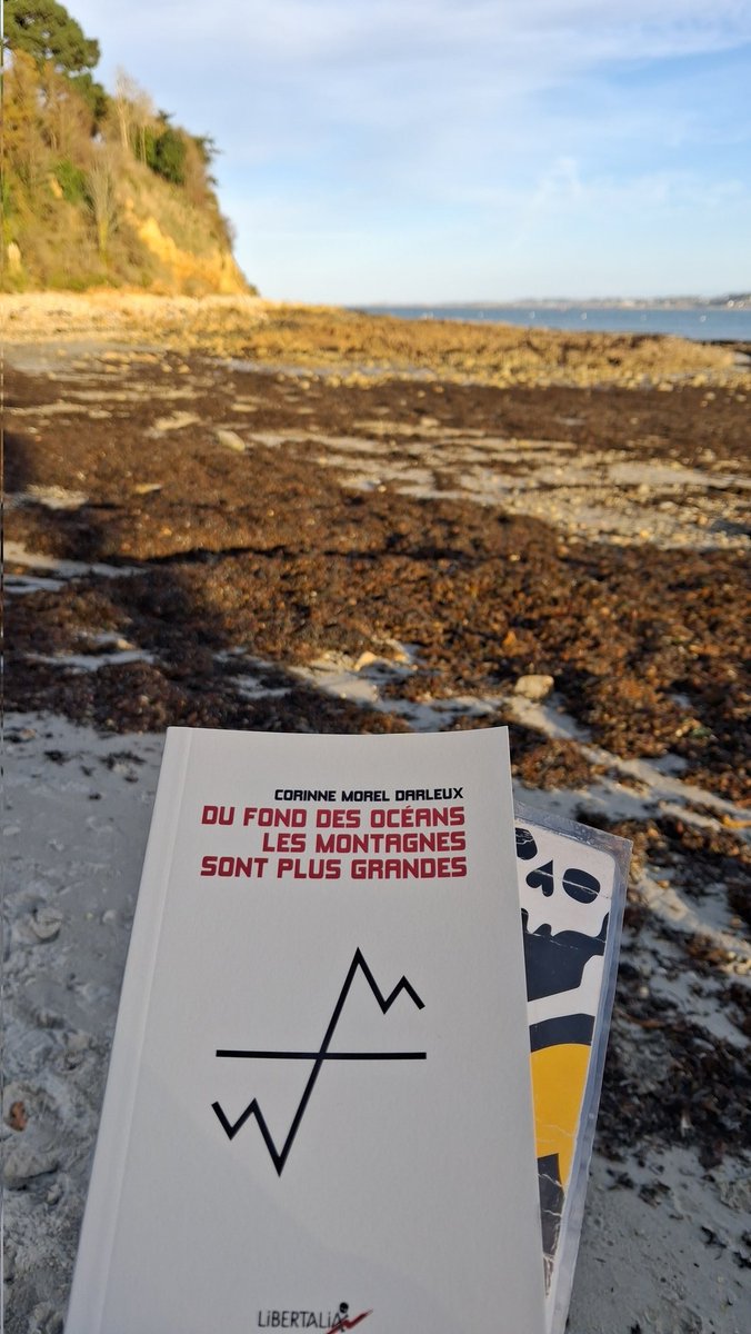 Montag33776628's tweet image. Après-m’ lecture à la crique avec le livre de Corinne Morel Darleux :
&quot; Du fond des océans les montagnes sont plus grandes &quot;.
C’est publié chez @LibertaliaLivre 
#VendrediLecture