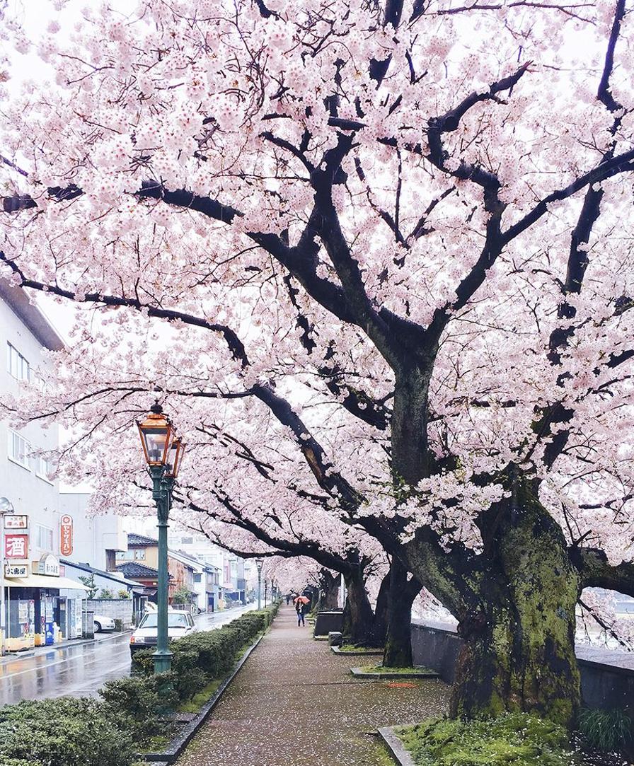 Chideeema's tweet image. おはよ〜今日もがんばろ 気分最高！けど髪乾かして寝よ！ 📚