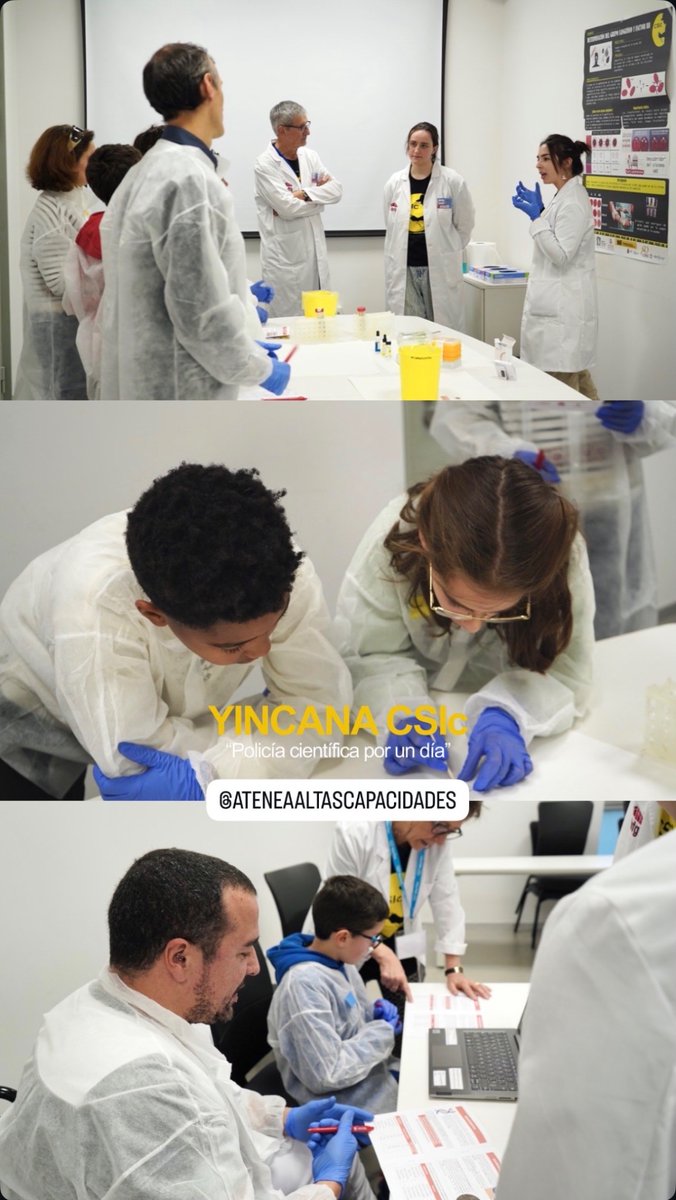 ATENEA AACC tweet media