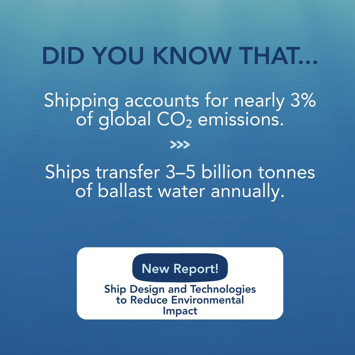 Clear Seas tweet media