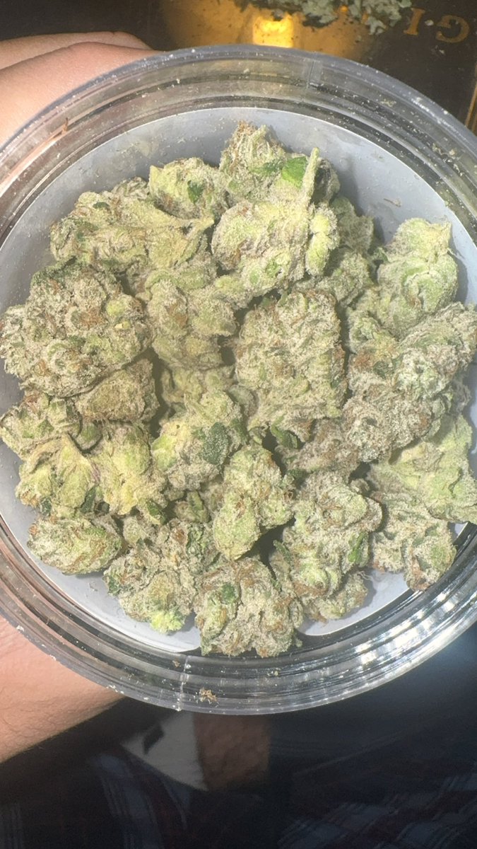 Cdog_f2p tweet media